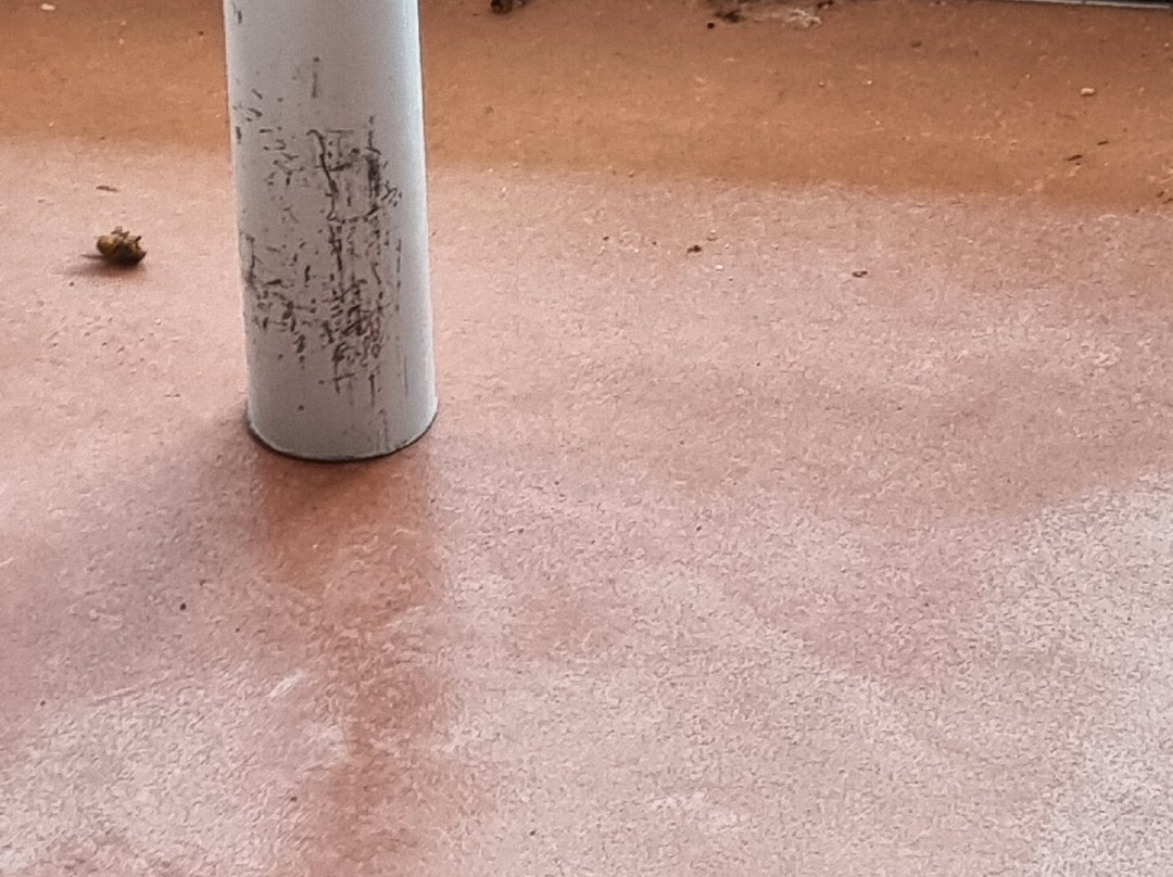 Ocean Park Aquarium-德纳姆必去景点