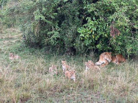 Safaris By Jon-坎帕拉必去景点