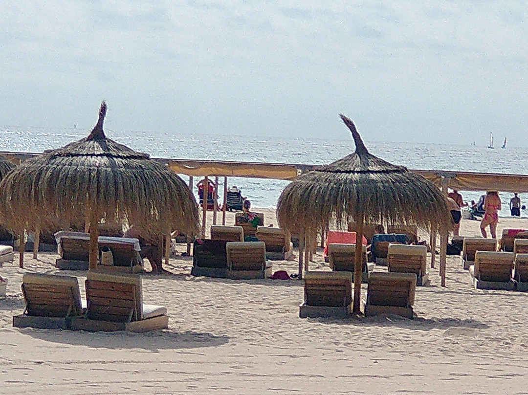 莫妮卡酒店主图