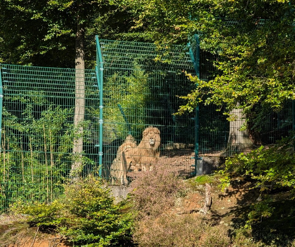 Neunkircher Zoologischer Garten-Neunkirchen必去景点