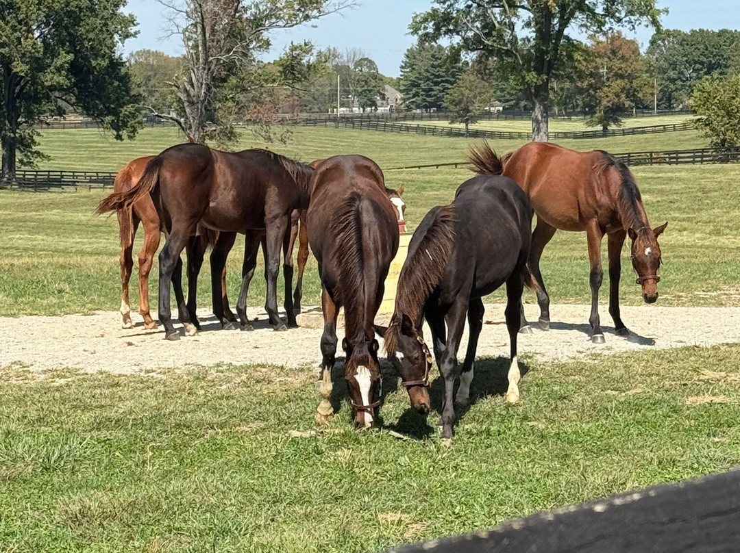 Hermitage Farm-Goshen必去景点