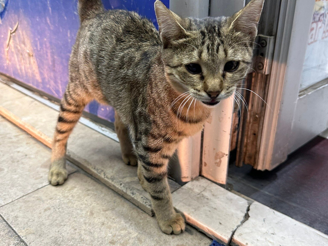 Nakhchivan Travel-纳希切万 必去景点