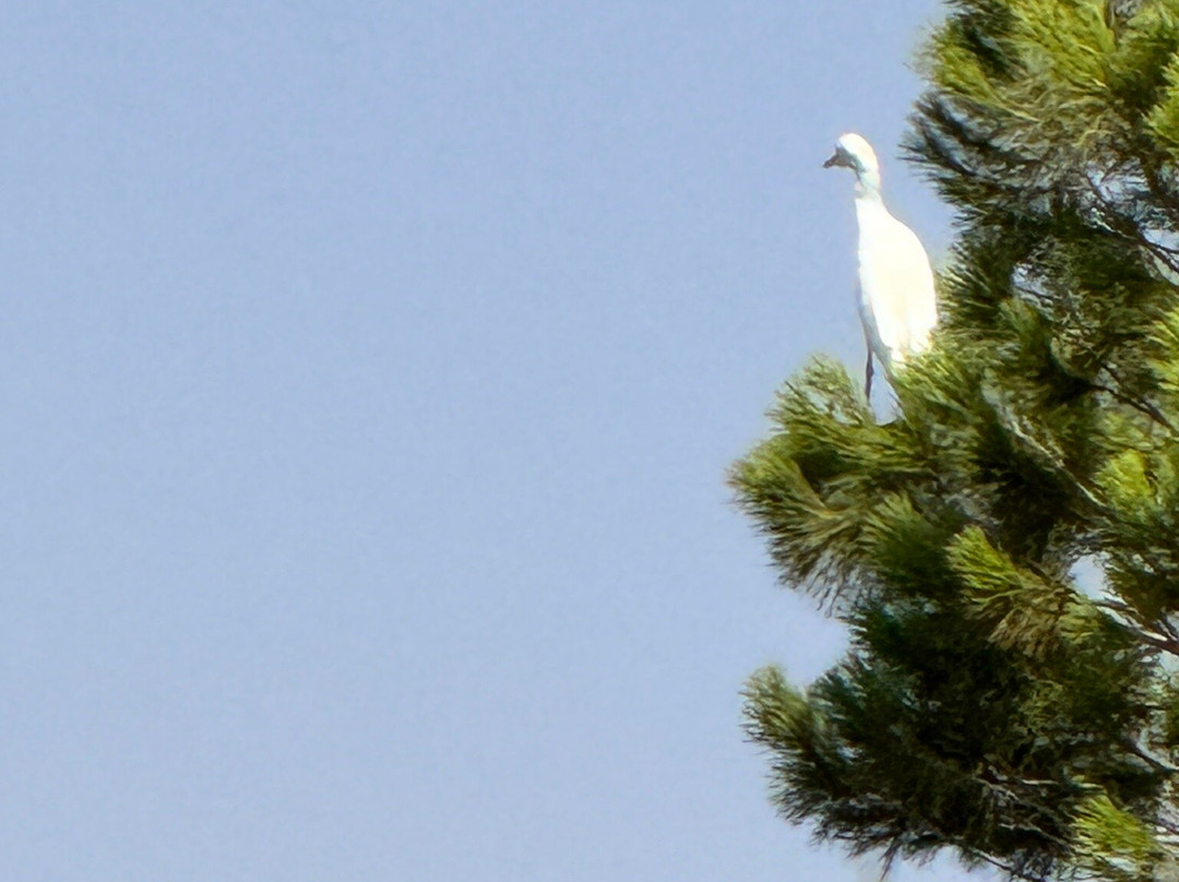 Amelkis Golf Club-马拉喀什必去景点