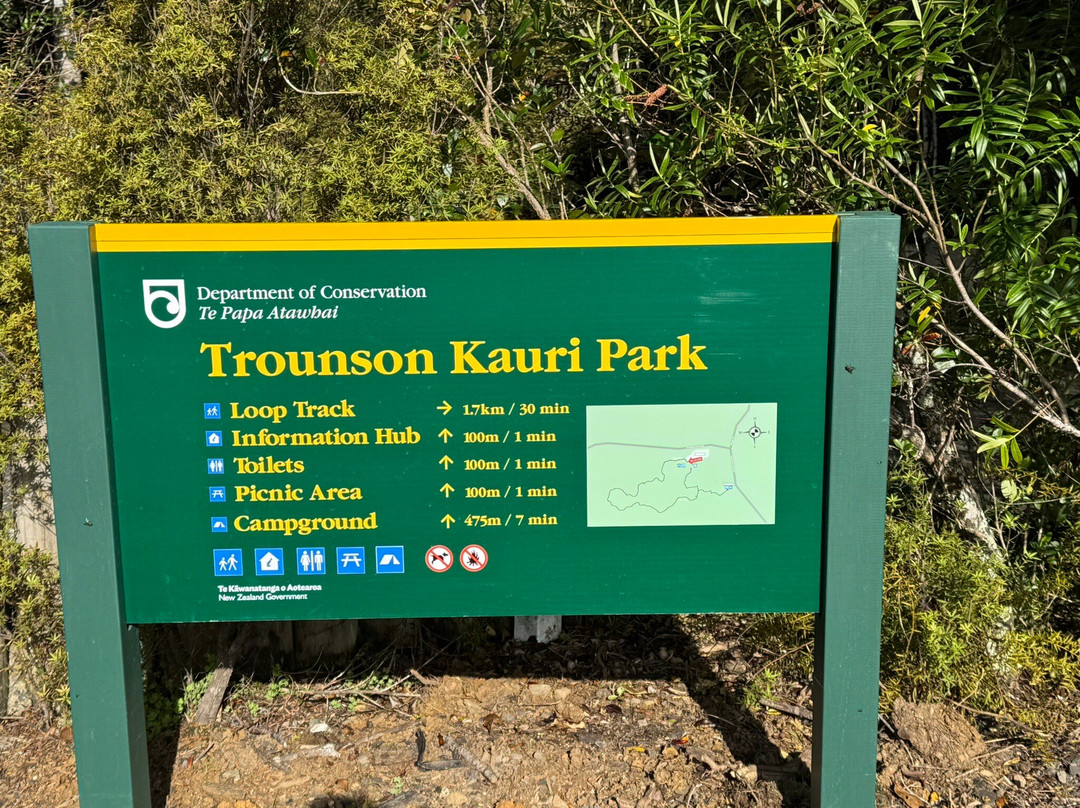 Trounson Kauri Park-达格维尔必去景点