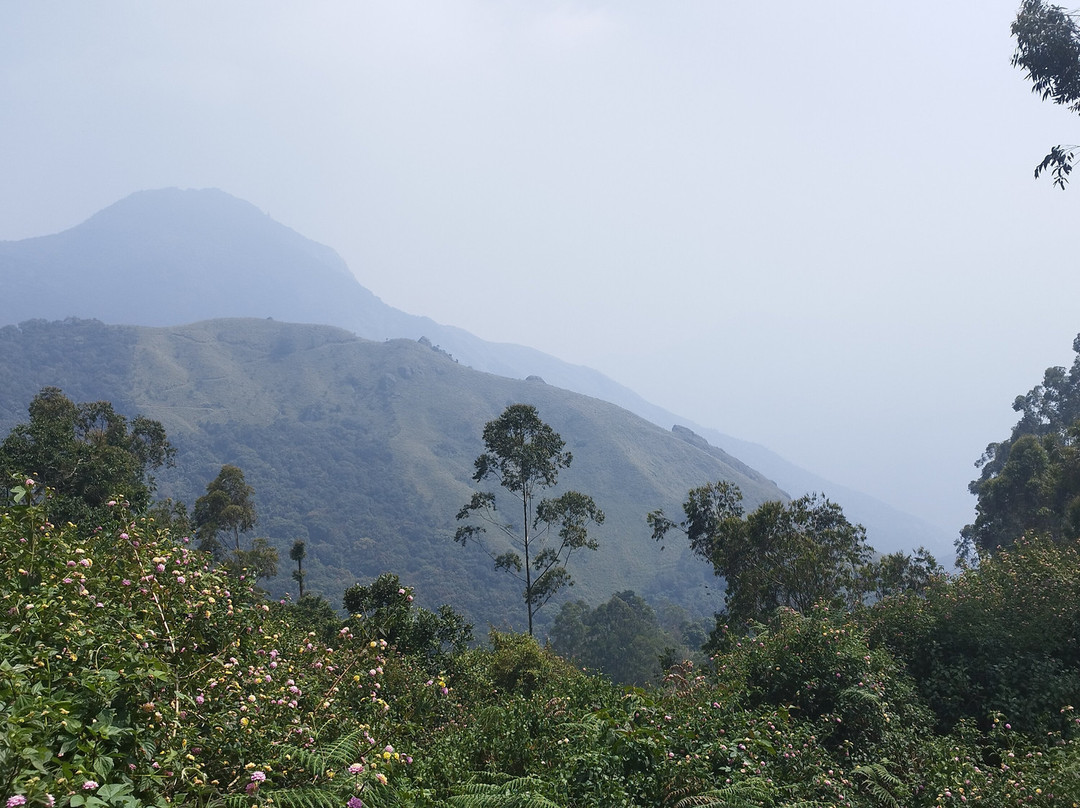 Top Station-慕那尔必去景点