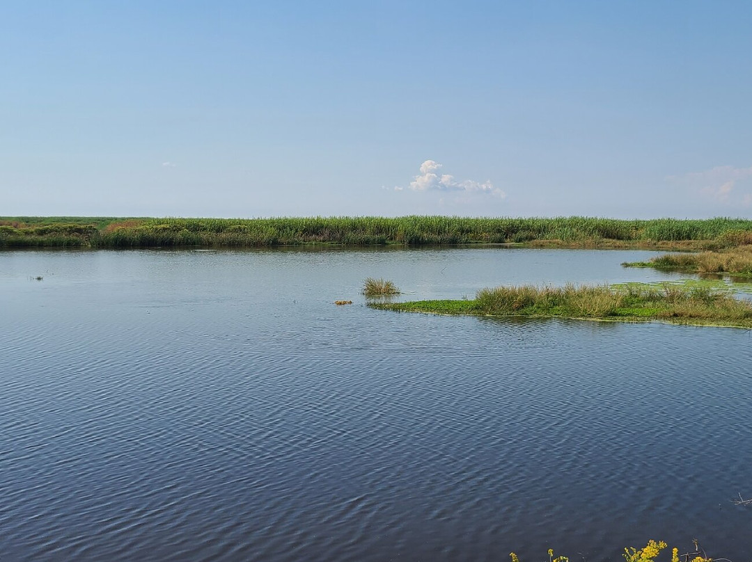 Jocelyn Nungaray National Wildlife Refuge-Anahuac必去景点