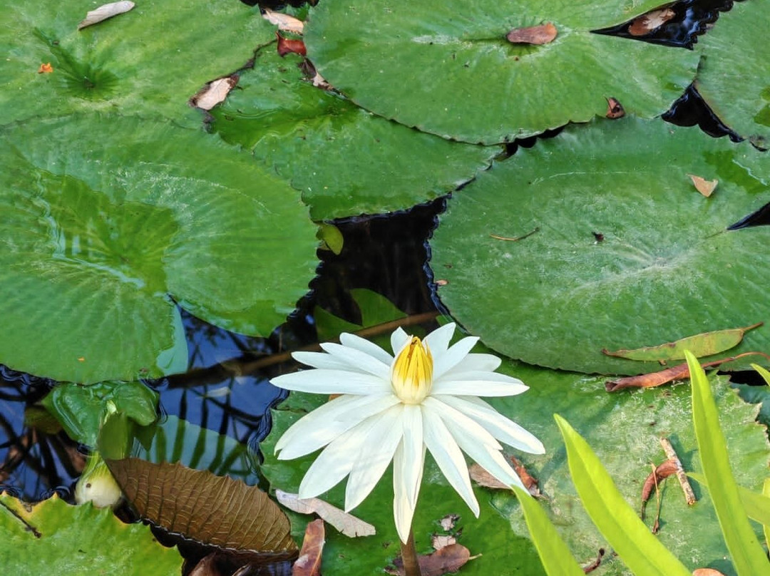 Diamond Beach Resort主图