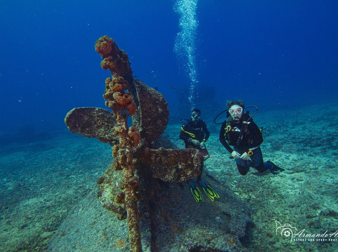 X DIVE MX-拉巴斯必去景点