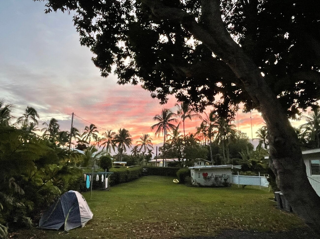 阿诺特之家主图