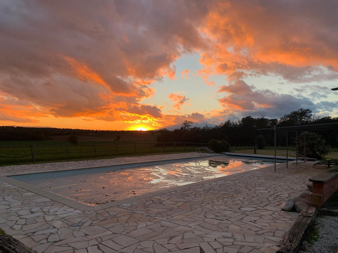 B&B El Ranxo Caldes de Malavella主图