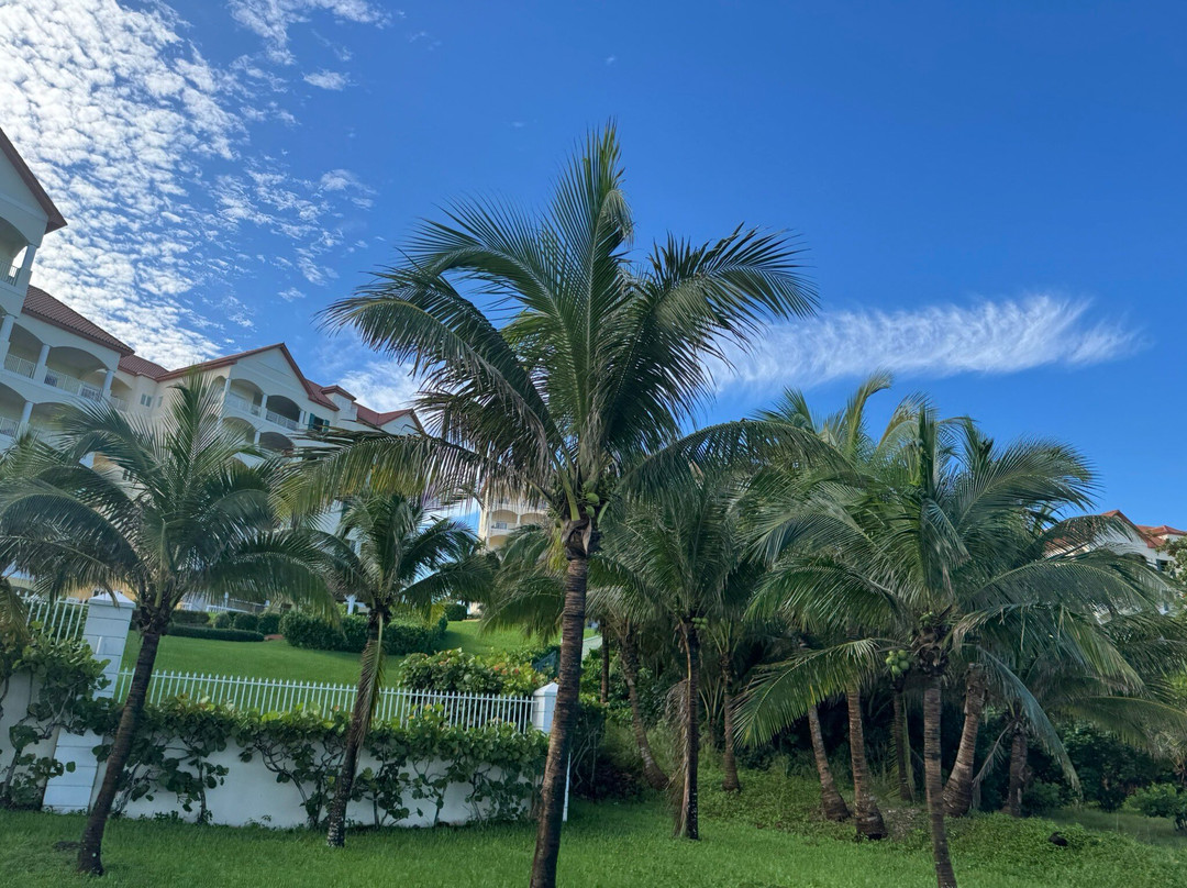 Adventures Caribbean-拿骚必去景点