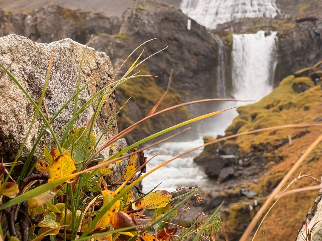 Dynjandi (Fjallfoss)-Hrafnseyri必去景点