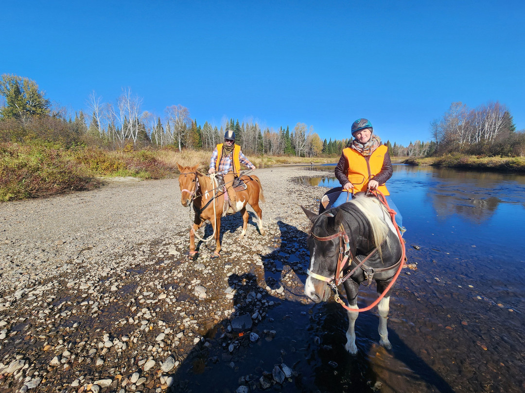 Aventures Daaquam 4 Saisons-Saint-Just-de-Bretenieres必去景点