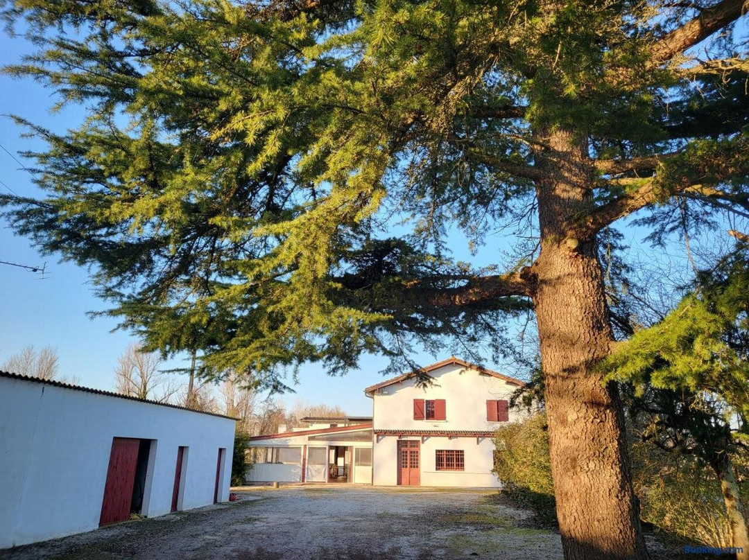 Wonderbar (auberge Du Trinquet)