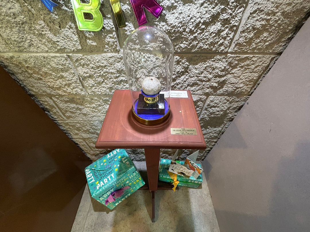 Agnes Water Museum-Agnes Water必去景点