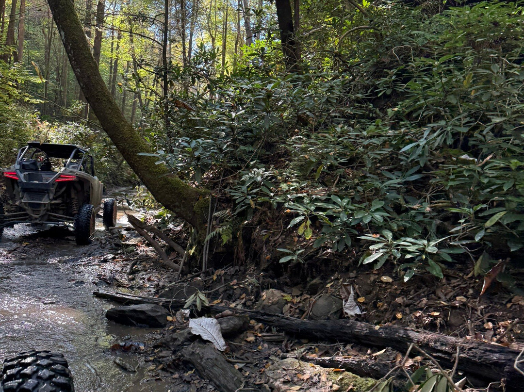 Out the Top Adventures-Campton必去景点