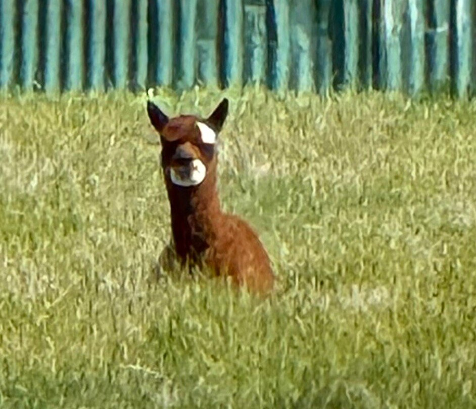 Cleveland Estate主图