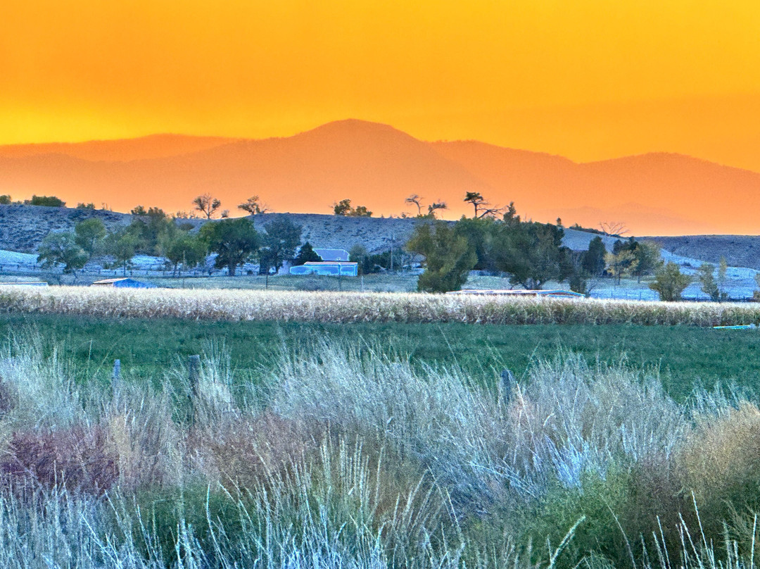 Super 8 by Wyndham Montrose主图