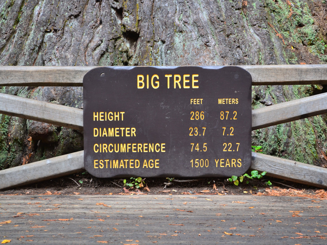Prairie Creek - Foothill Trail Loop-Orick必去景点