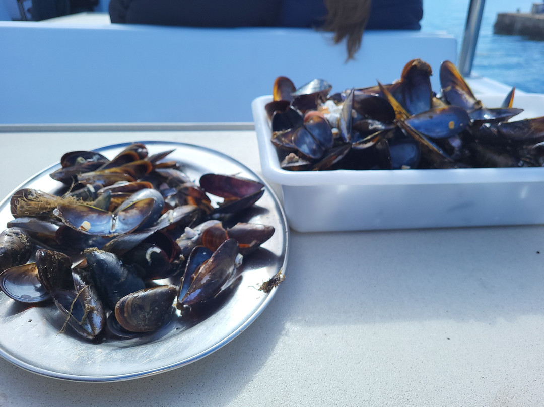 Cruceros do Ulla Turimares-格罗韦必去景点