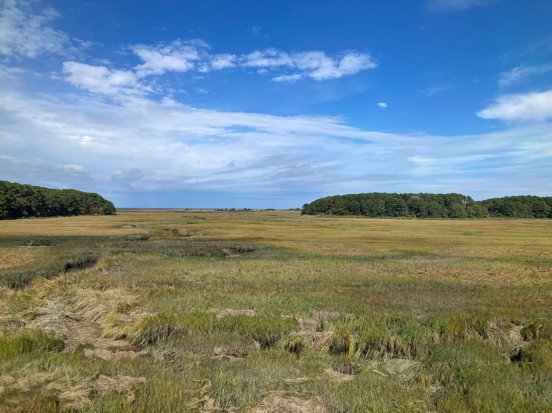 Cape Cod Central Railroad-海恩尼斯必去景点