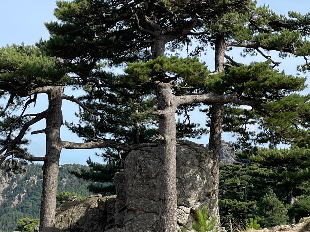 Aiguilles de Bavella-Quenza必去景点