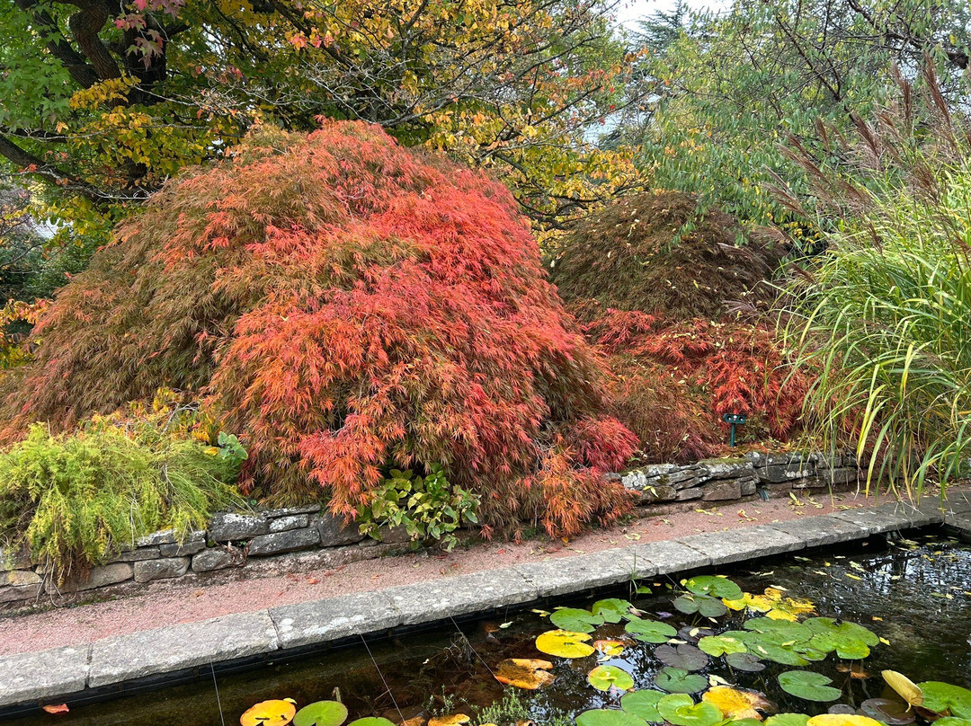 Brobury House Gardens and Cafe-赫里福德必去景点