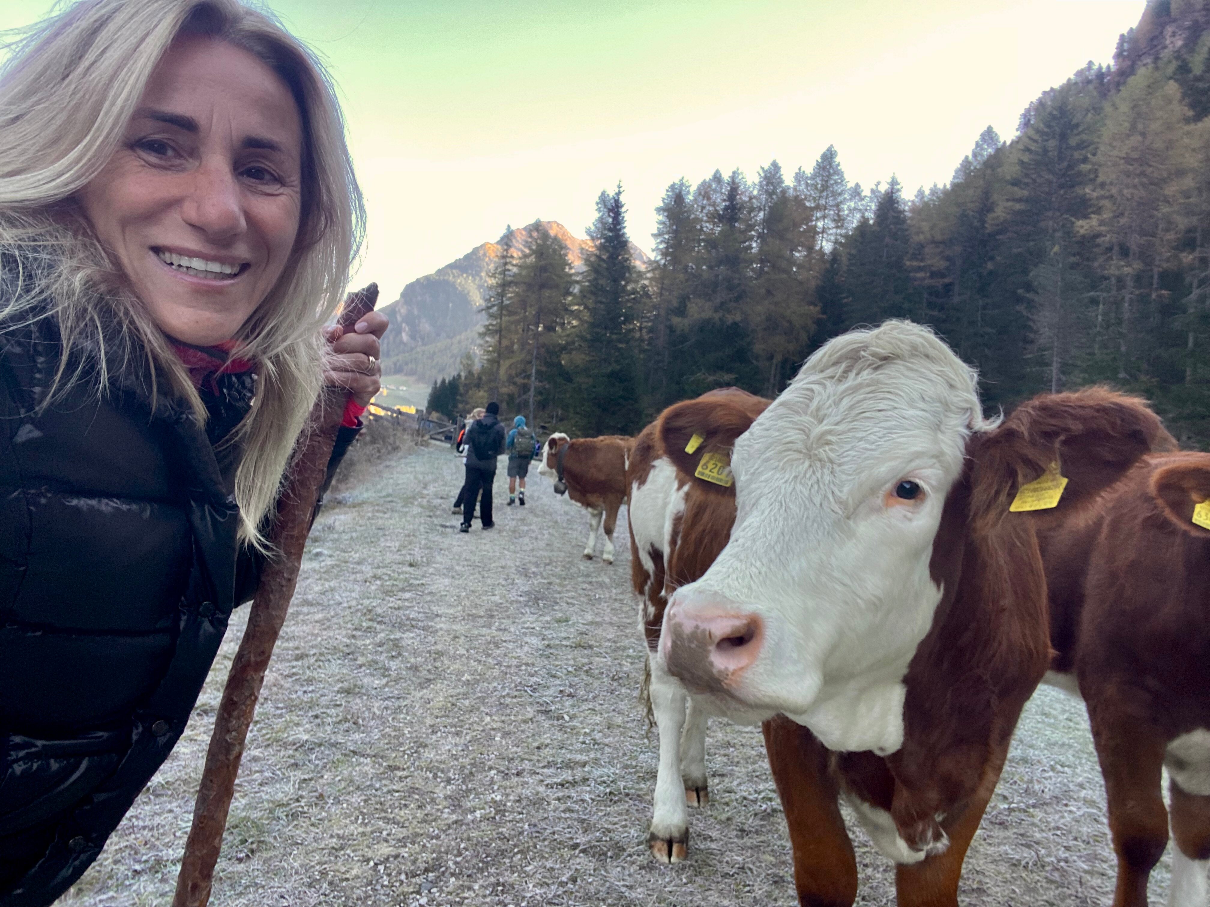 Alphotel Stocker-官方