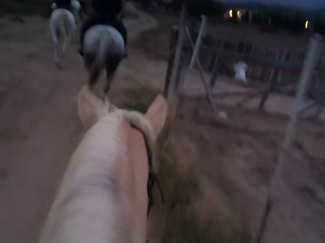 Erika's Horse Farm Kos-Marmari必去景点