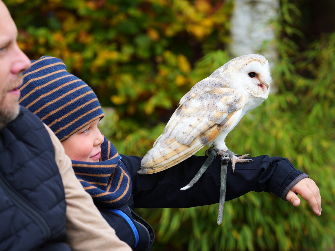 Le Jardin des Hiboux-Bievre必去景点