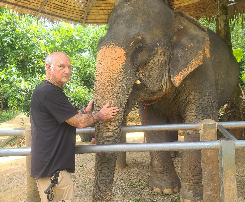 Phuket Elephant Care-奈通必去景点