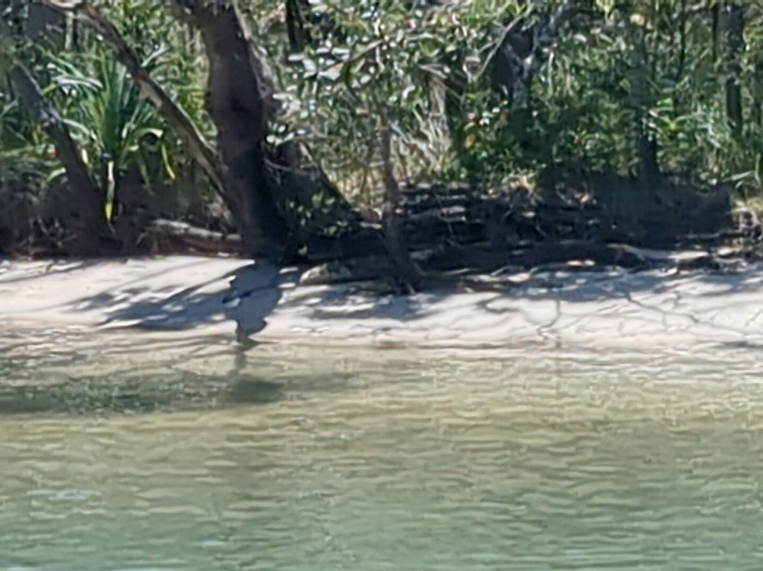 Noosa Queen-Tewantin必去景点