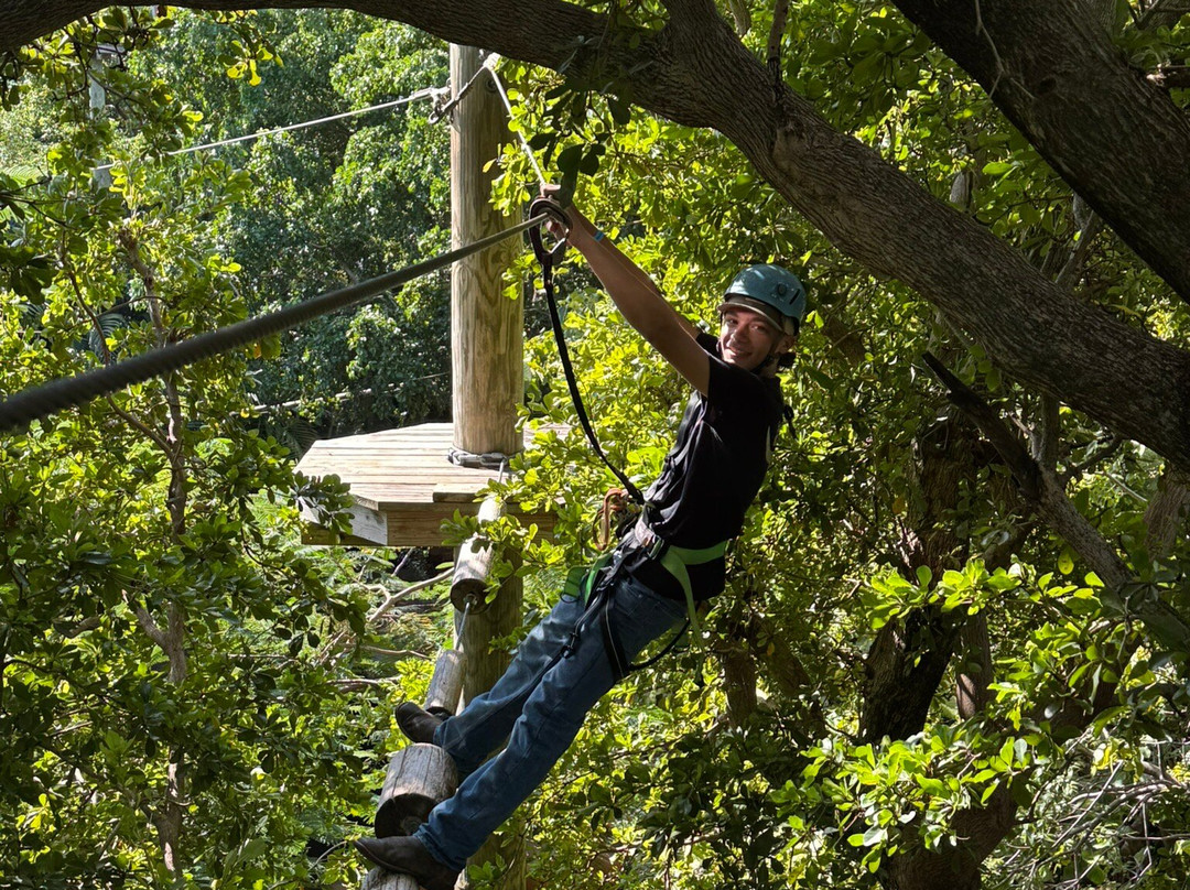 Treetop Trekking Miami-迈阿密必去景点