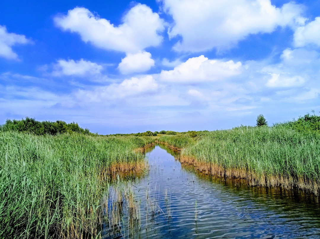 Nationaal Park Schiermonnikoog-Schiermonnikoog必去景点