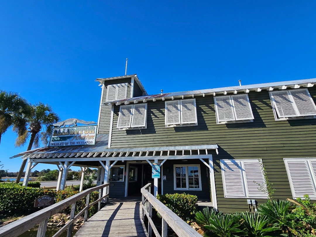 Alligator Adventure-美特尔海滩必去景点