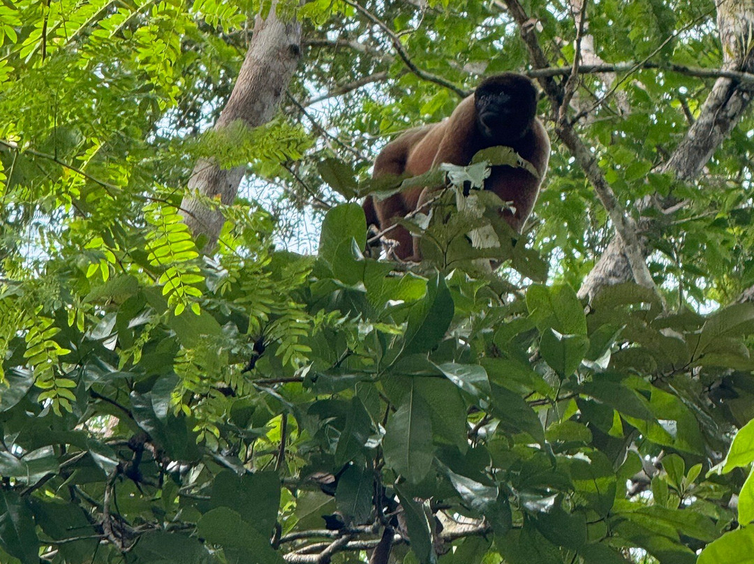 Aqua Expeditions-利马必去景点