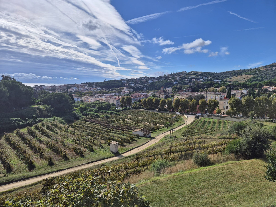 Bouquet d'Alella-Alella必去景点