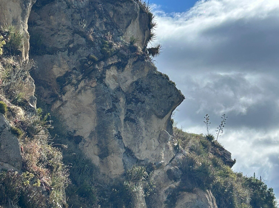 Cara del Inca-Ingapirca必去景点