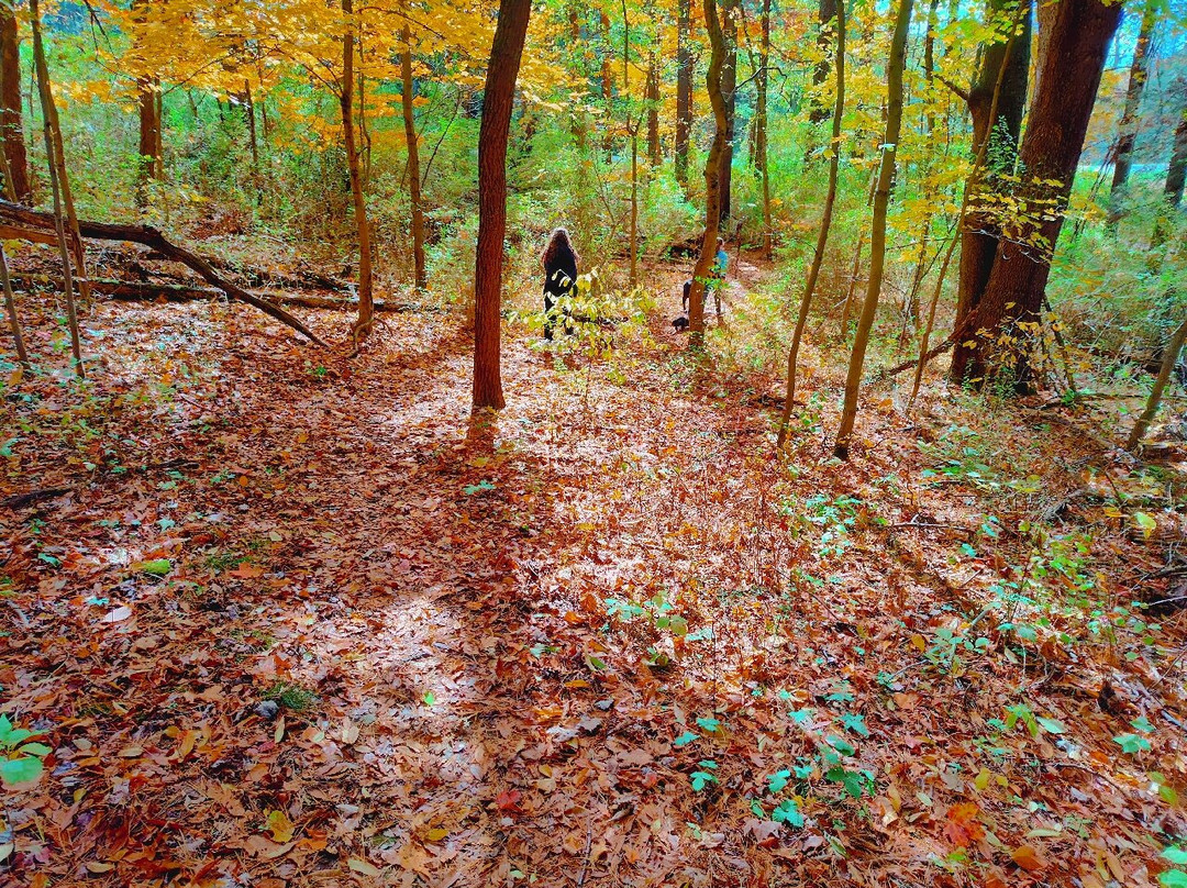 Bushy Run Battlefield-Jeannette必去景点