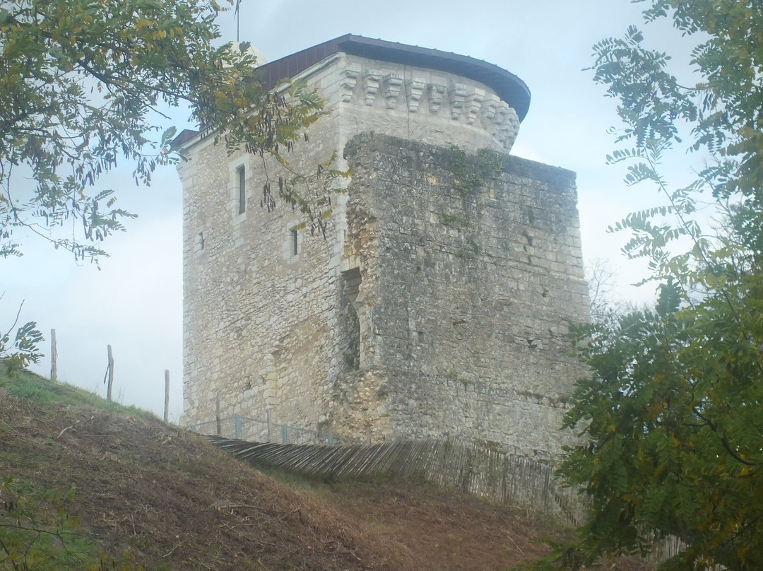 Château de Vendôme-旺多姆必去景点