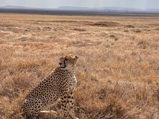 Etro Tours and Safaris-莫西必去景点