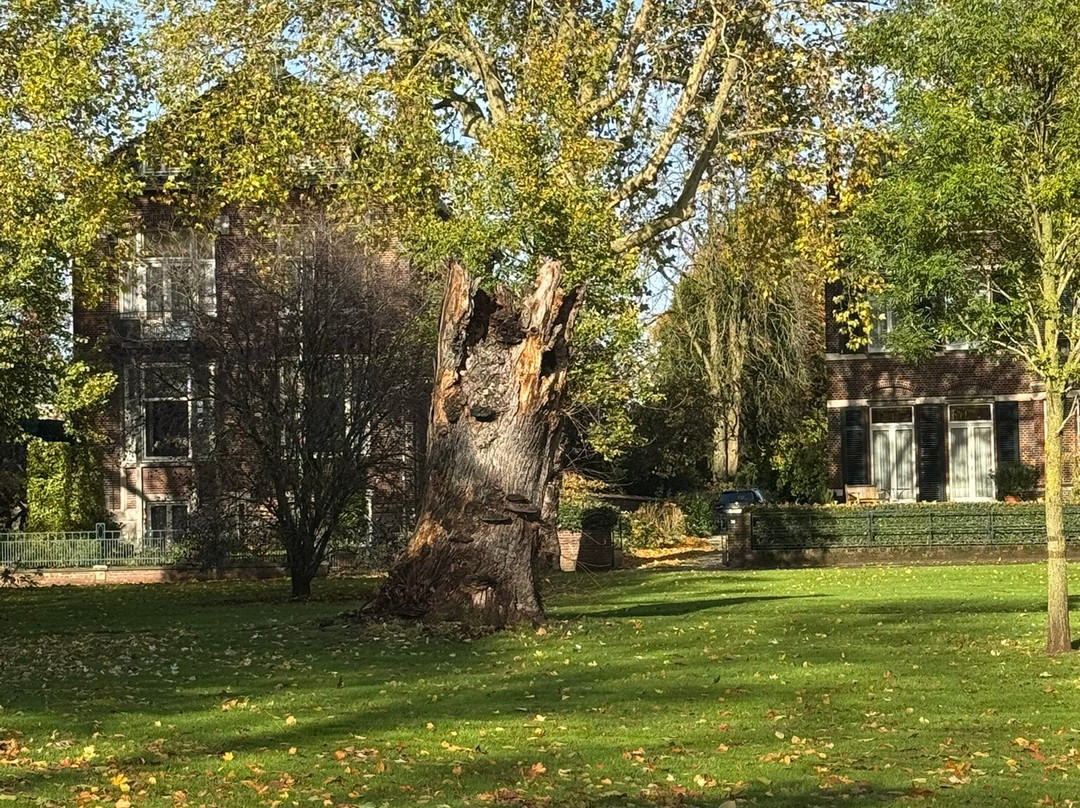 Wilhelminapark-芬洛必去景点