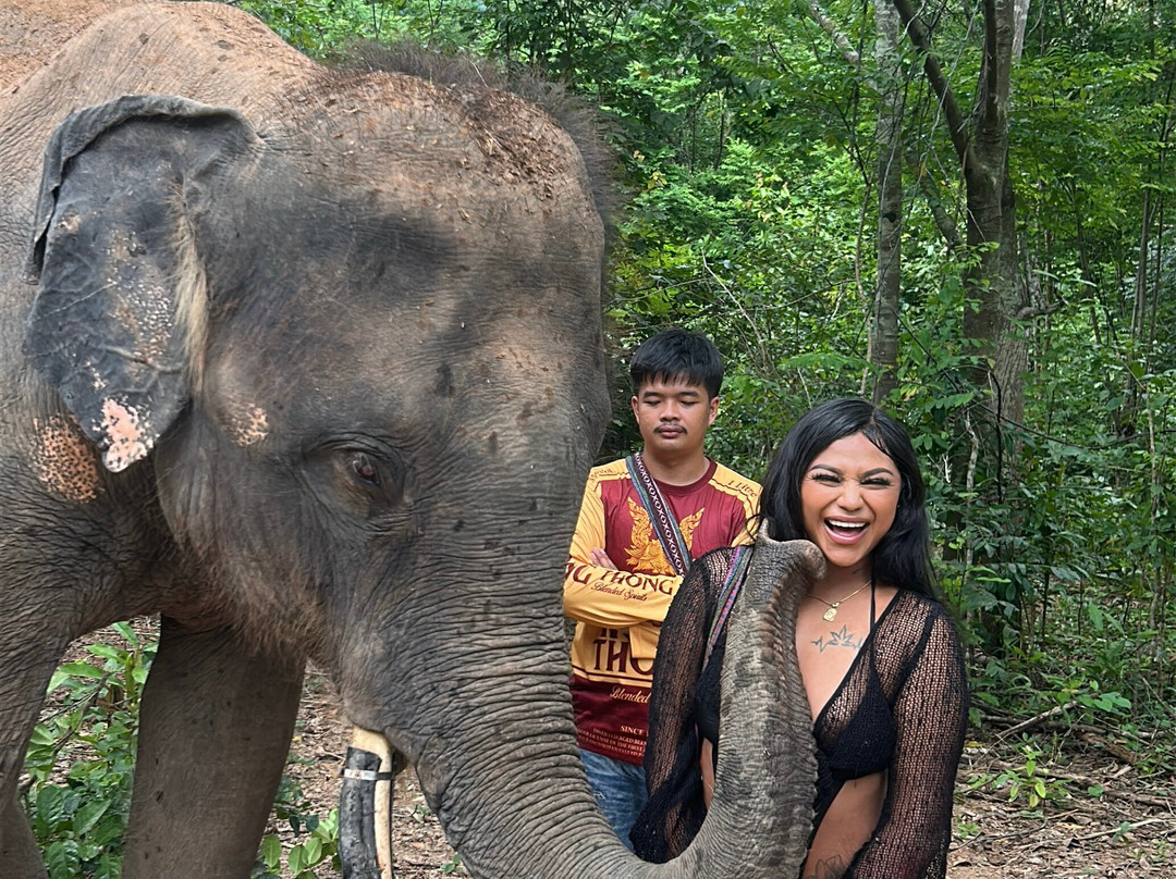 Pattaya Elephant Sanctuary-Bang Sare必去景点