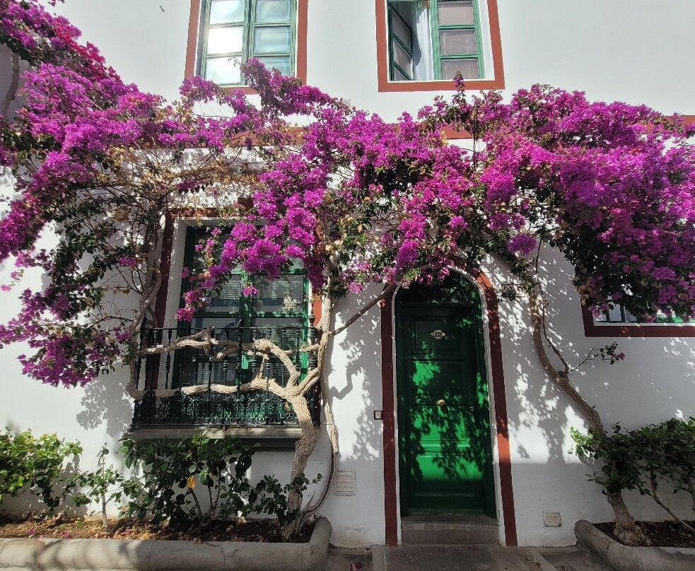 Puerto De Mogán-莫干港必去景点