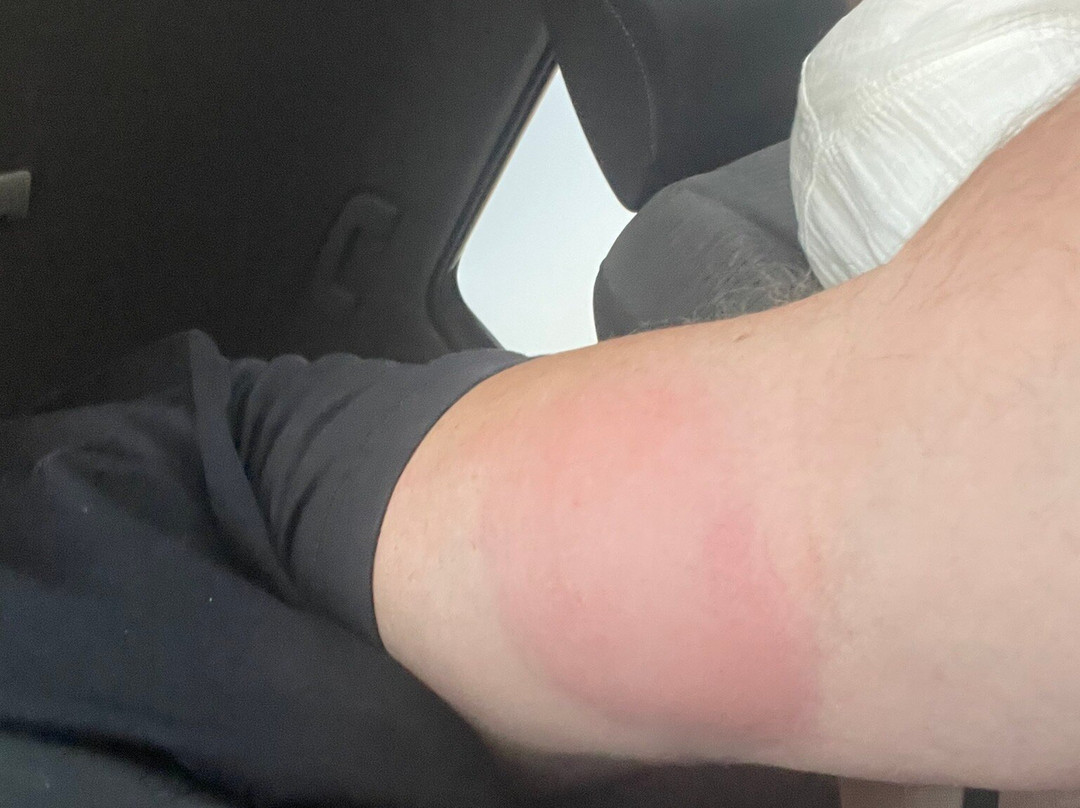 Holiday Inn & Suites Regina By IHG主图