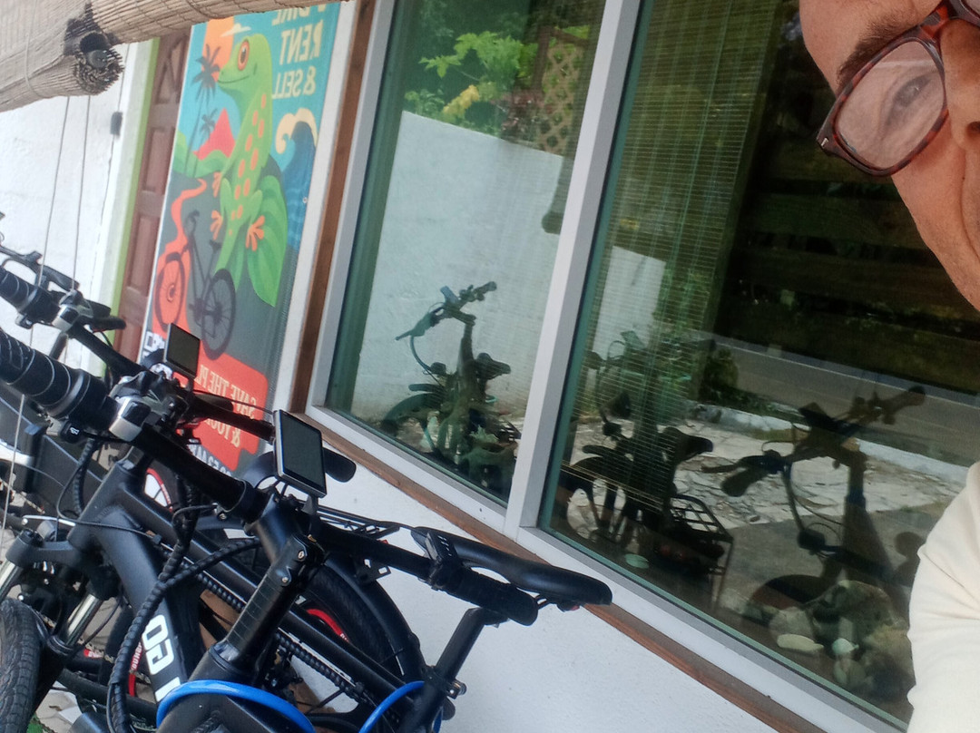 Mauigo E-Bike Moorea-帕佩托艾必去景点