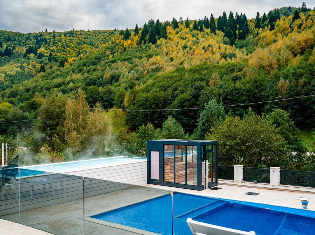 Carpentiere Arena主图