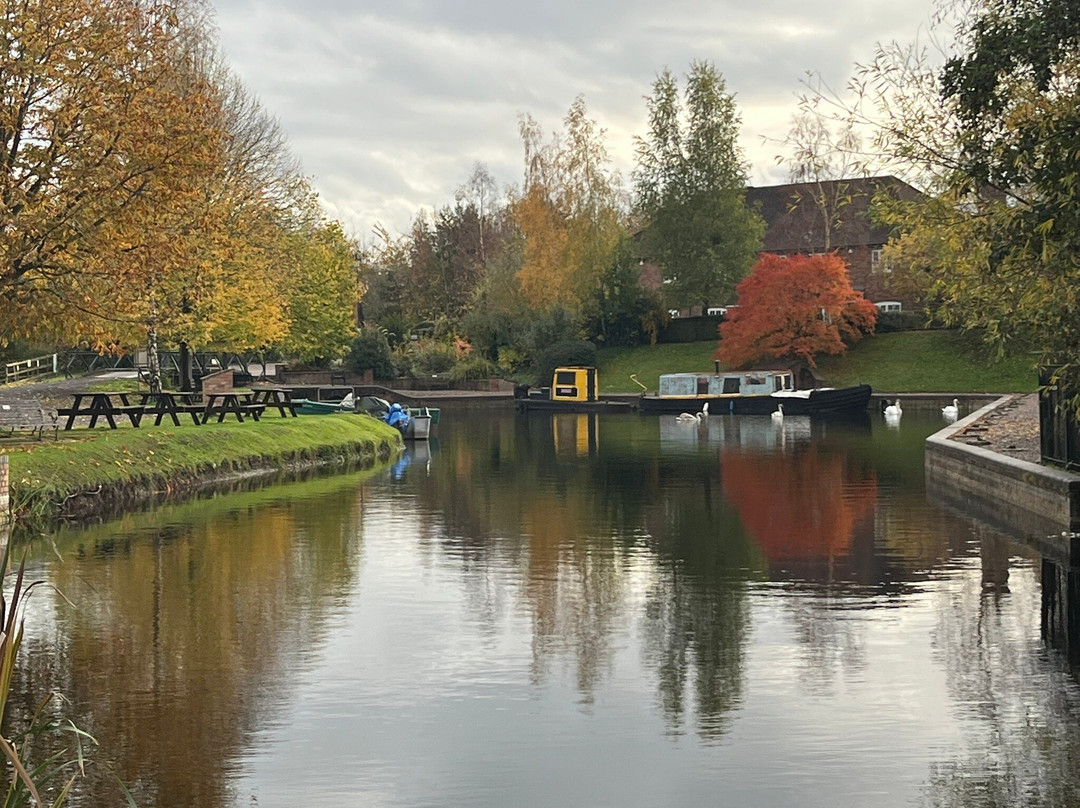 The Mooring Post主图