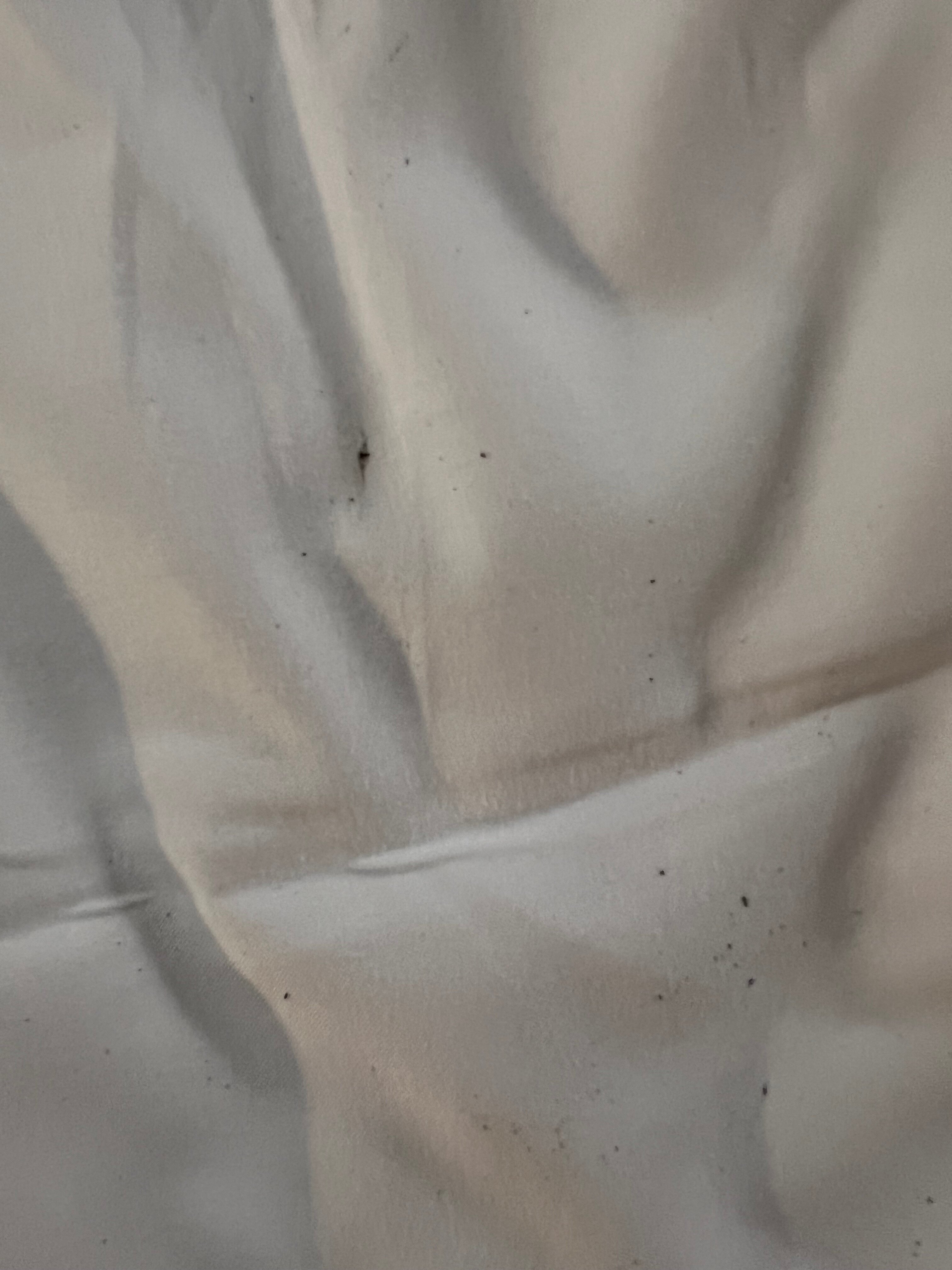 普瓦捷未来影视城诺富特酒店-客卧