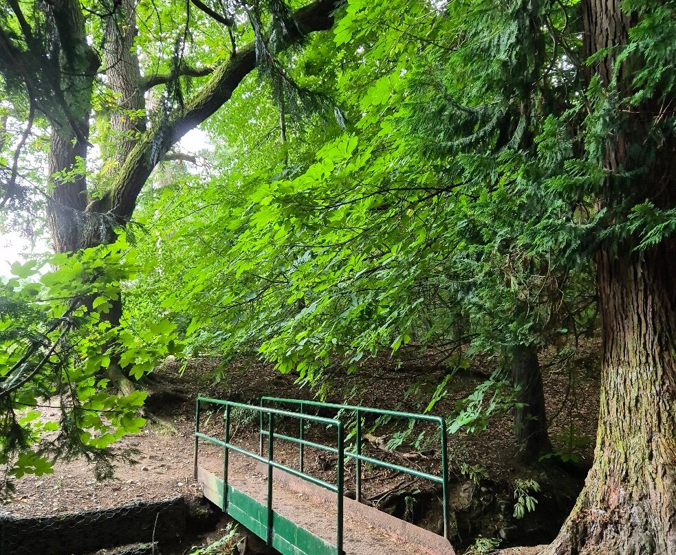 Gala Policies Community Woodland-Galashiels必去景点